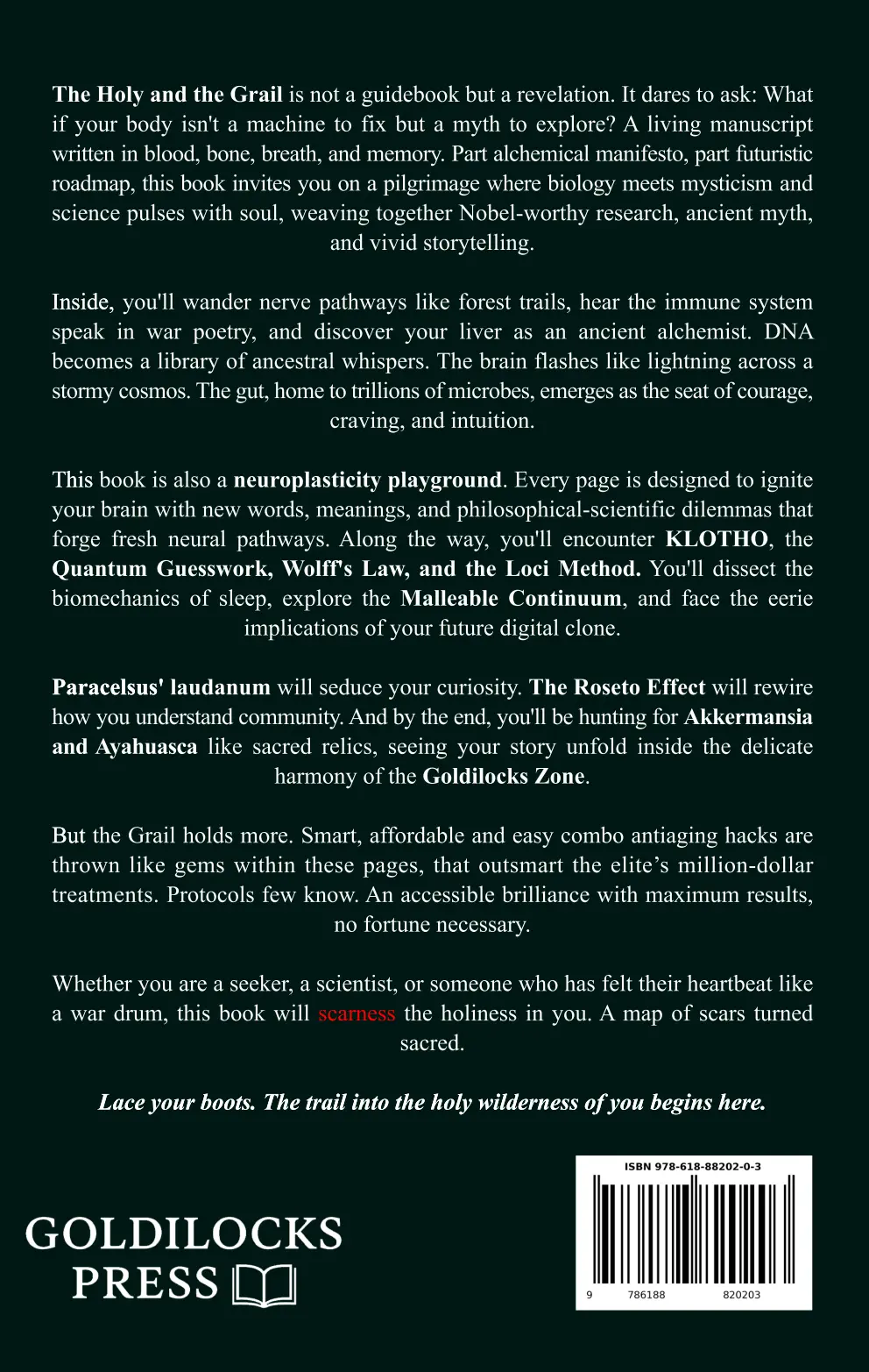 The Holy & the Grail Back Cover